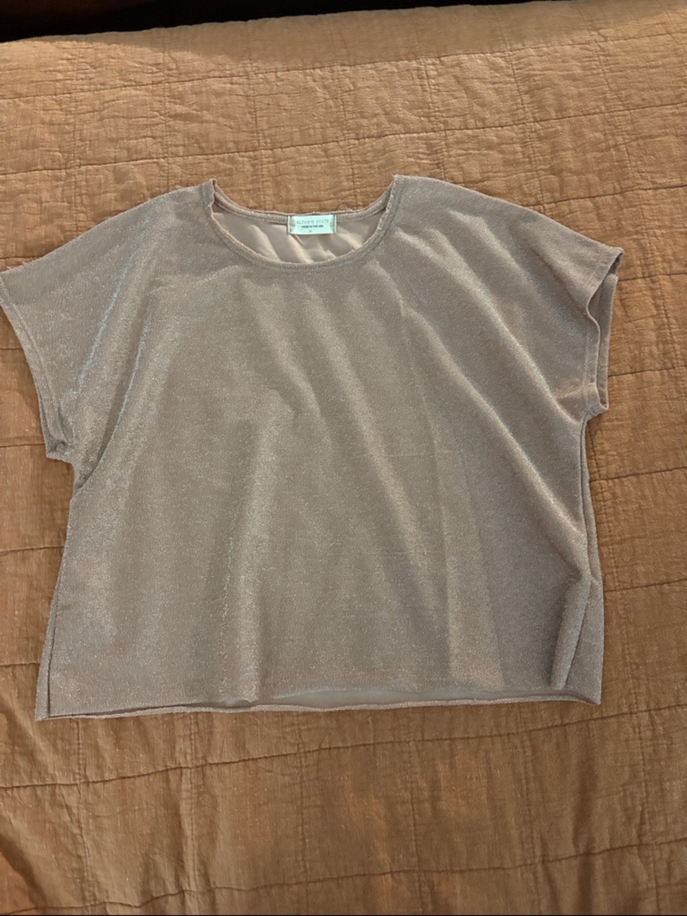 Altar'd State Shimmery Taupe Crewneck Top